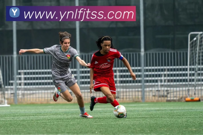 九游体育发展历程